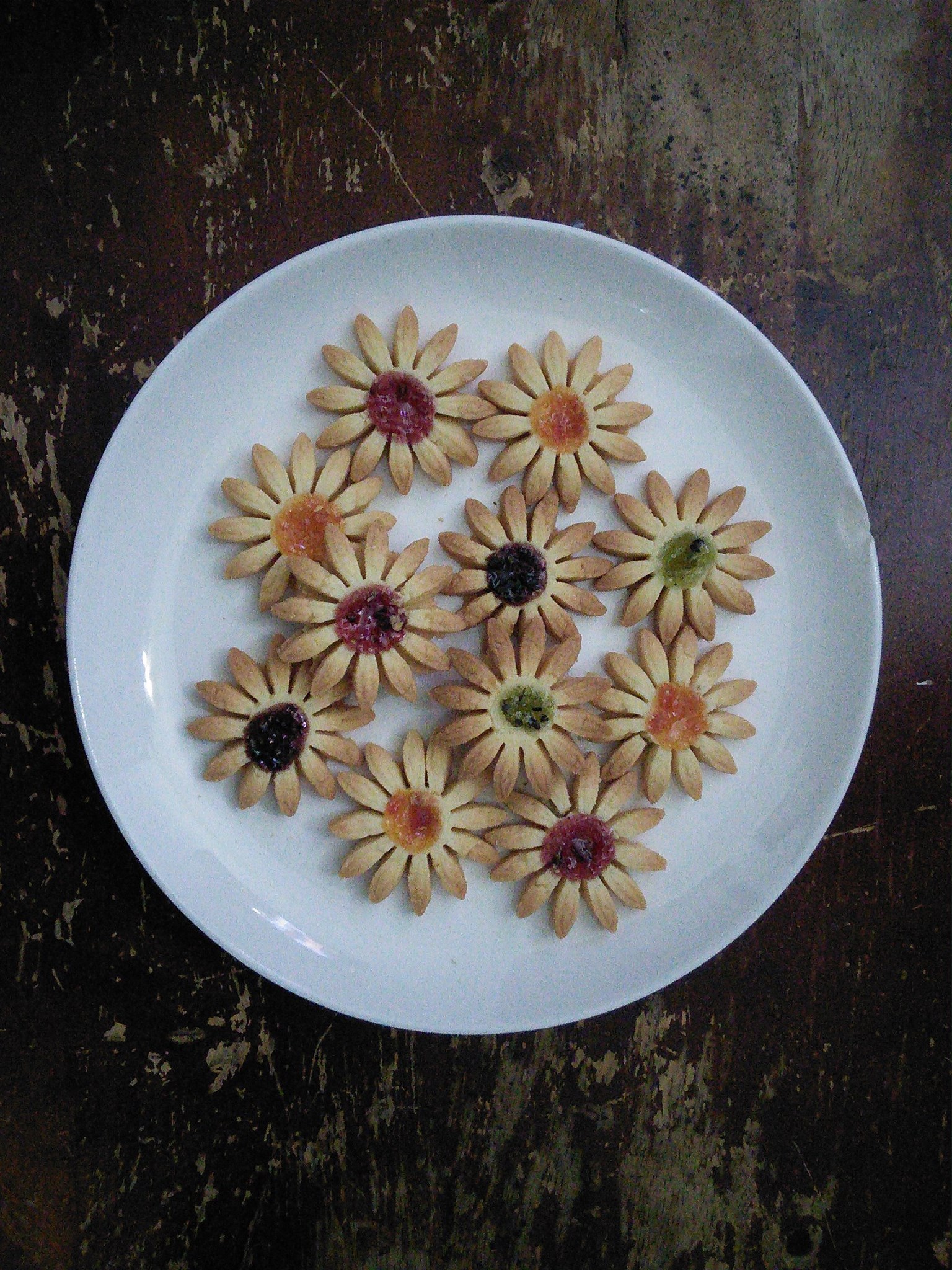 465728980_10229850441579371_7879422087284201623_n